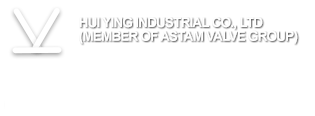 ASTAM VALVE